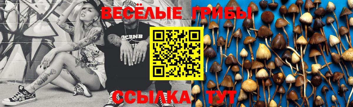 Псилоцибиновые грибы ЛСД  Галлюциногенные грибы Psilocybine cubensis  Углич  Вход с VPN 
